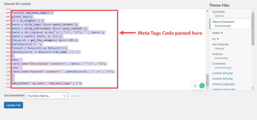 Meta-tags-code-paster-in-theme-function-file